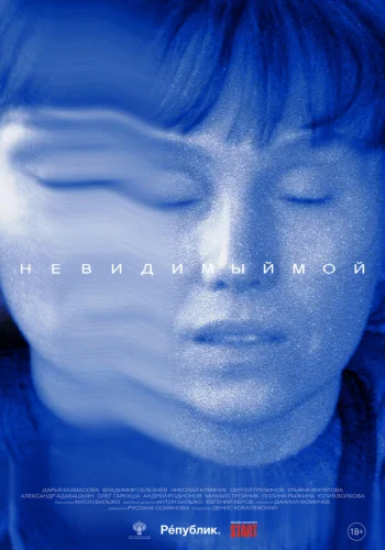  Невидимый мой 