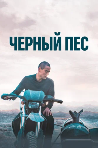  Чёрный пёс 