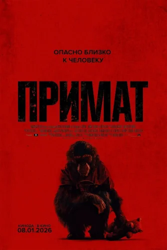  Примат 